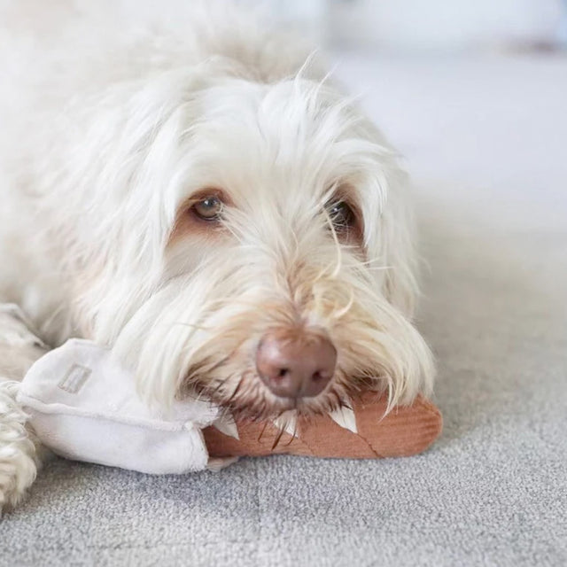 Lambwolf Collective Schnüffelspielzeug MINI BAGUETTE Interaktiv