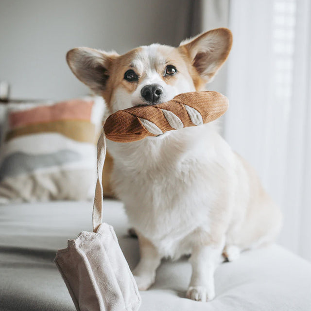 Lambwolf Collective Schnüffelspielzeug MINI BAGUETTE Interaktiv