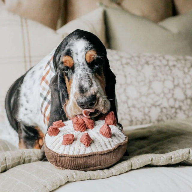 Lambwolf Collective Schnüffelspielzeug BERRY PIE Beerenkuchen Interaktiv