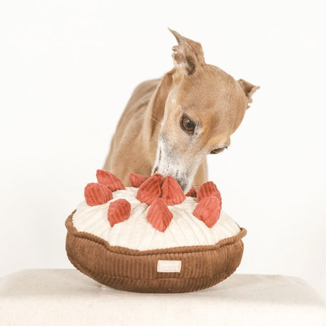 Lambwolf Collective Schnüffelspielzeug BERRY PIE Beerenkuchen Interaktiv