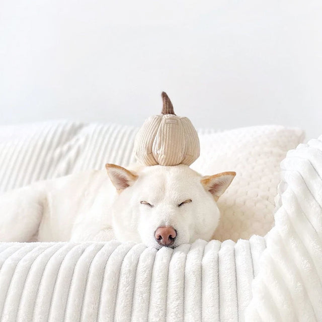 Lambwolf Collective Schnüffelspielzeug KÜRBIS BOO silent, klein Interaktiv