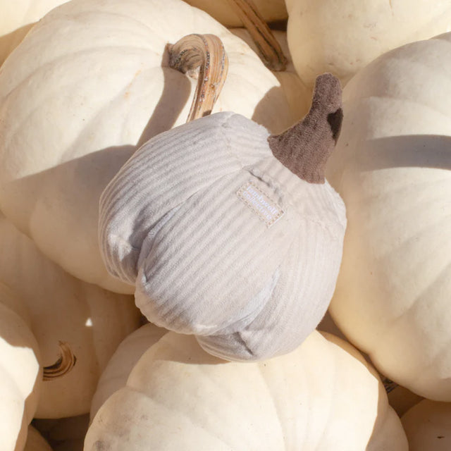 Lambwolf Collective Schnüffelspielzeug KÜRBIS BOO silent, klein Interaktiv