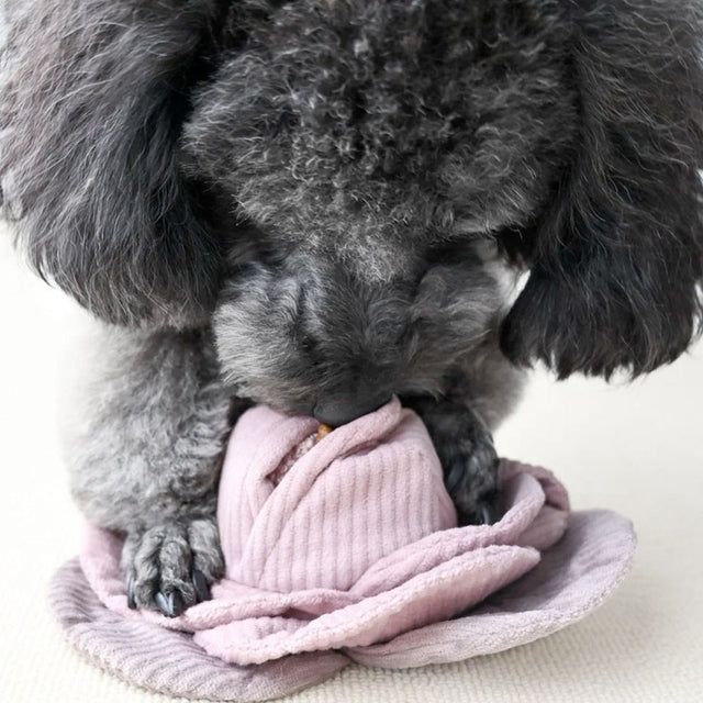 Lambwolf Collective Schnüffelspielzeug CABBAGE POP, red Interaktiv