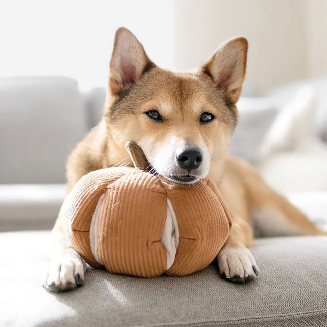 Lambwolf Collective Schnüffelspielzeug CINDERELLA KÜRBIS Interaktiv