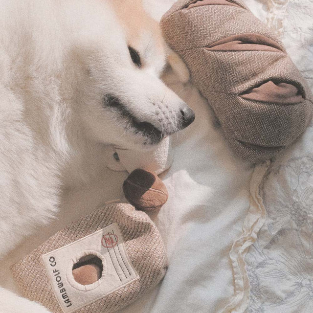 Lambwolf Collective Schnüffelspielzeug COFFEE BEANS Kaffebohnen Interaktiv