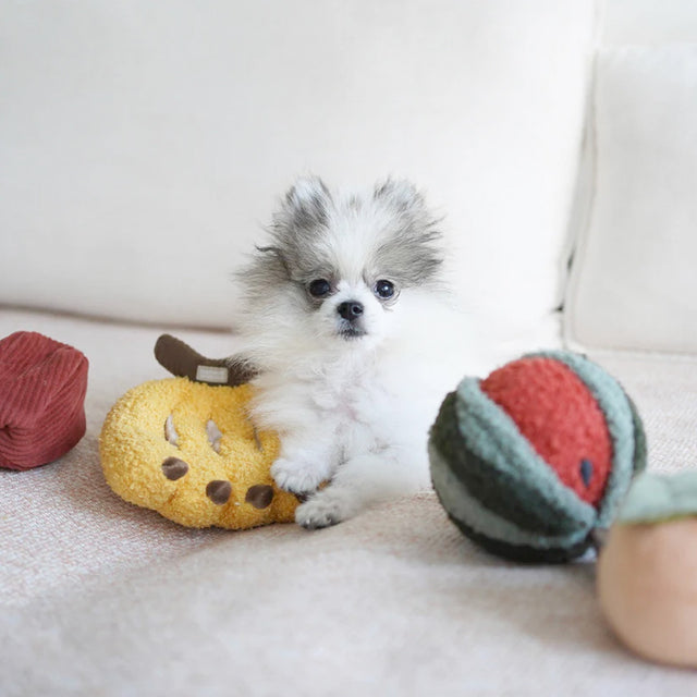 Lambwolf Collective Schnüffelspielzeug FRÜCHTE SET Interaktiv