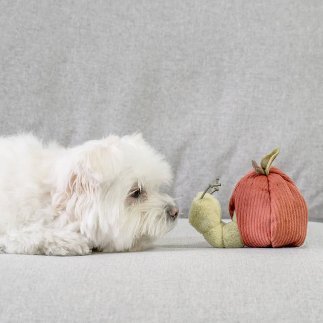Lambwolf Collective Schnüffelspielzeug FRÜCHTE SET Interaktiv