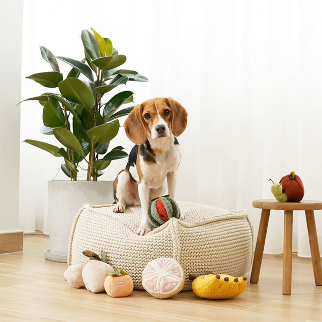 Lambwolf Collective Schnüffelspielzeug FRÜCHTE SET Interaktiv