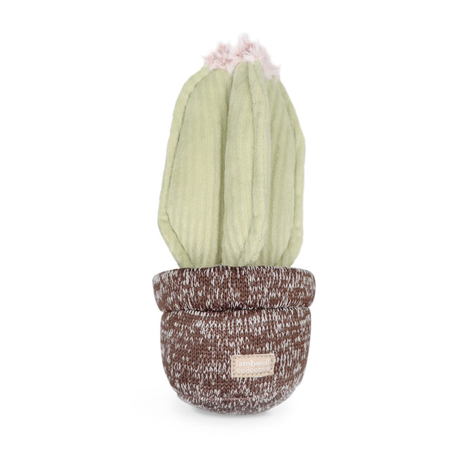 Lambwolf Collective Schnüffelspielzeug KAKTUS Interaktiv