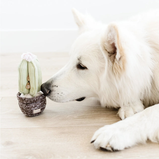 Lambwolf Collective Schnüffelspielzeug KAKTUS Interaktiv