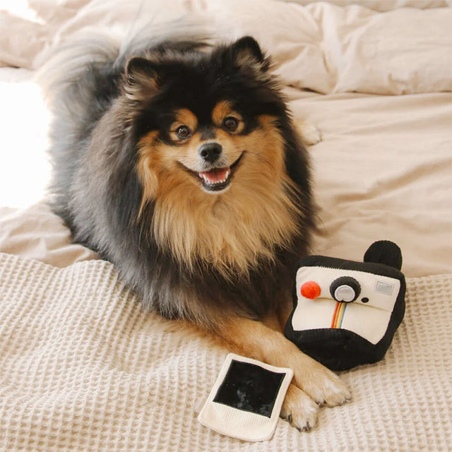 Lambwolf Collective Schnüffelspielzeug INSTANT CAMERA Interaktiv