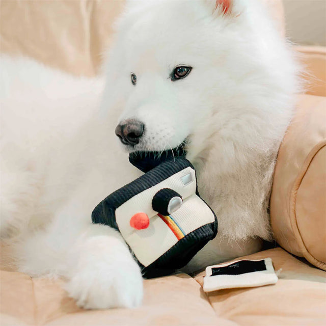 Lambwolf Collective Schnüffelspielzeug INSTANT CAMERA Interaktiv