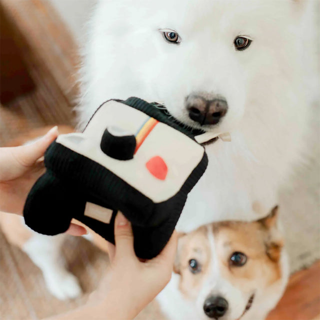 Lambwolf Collective Schnüffelspielzeug INSTANT CAMERA Interaktiv