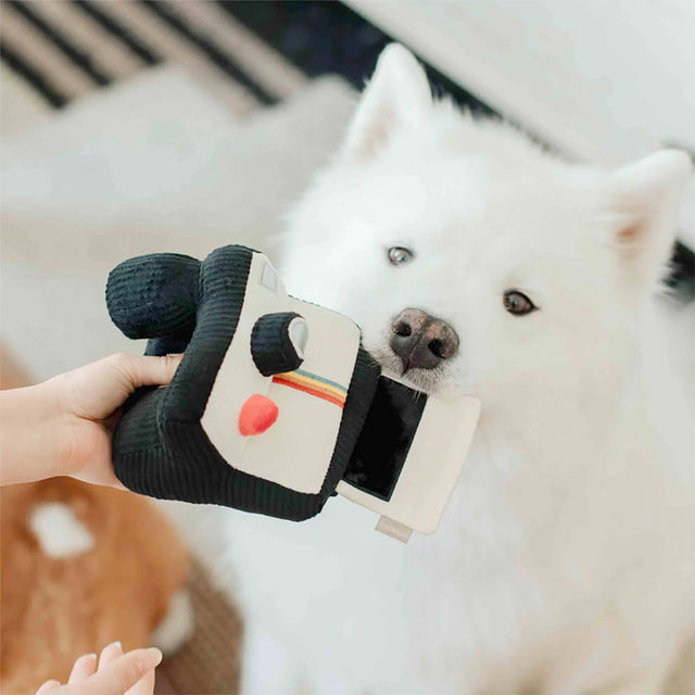 Lambwolf Collective Schnüffelspielzeug INSTANT CAMERA Interaktiv