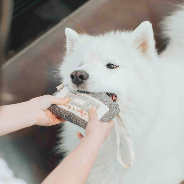 Lambwolf Collective Schnüffelspielzeug KASSETTE Interaktiv