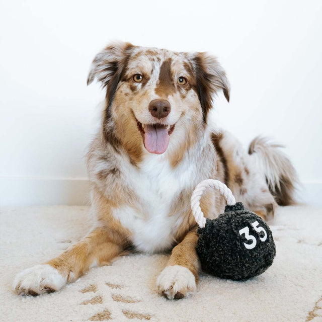 Lambwolf Collective Schnüffelspielzeug KETTLEBELL Interaktiv