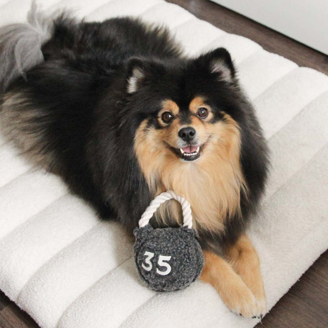 Lambwolf Collective Schnüffelspielzeug KETTLEBELL Interaktiv