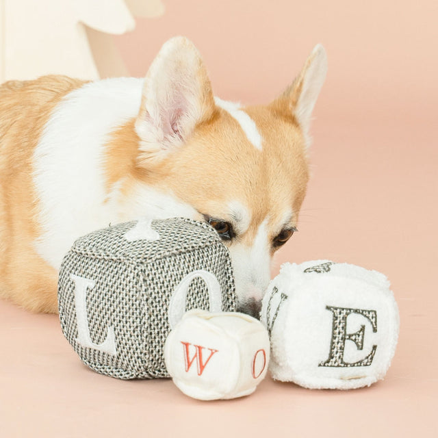 Lambwolf Collective Hundespielzeug LOVE CUBE, large Hundespielzeug
