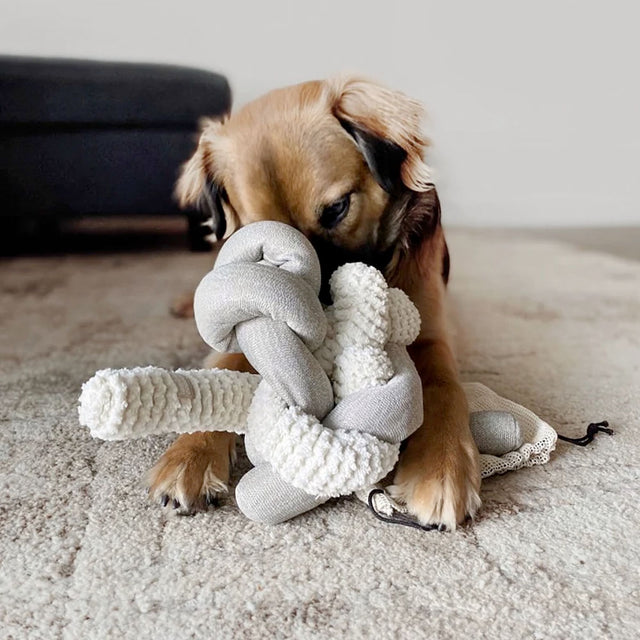 Lambwolf Collective Schnüffelspielzeug NOU Cream Interaktiv