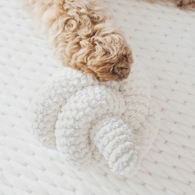 Lambwolf Collective Schnüffelspielzeug NOU Cream Interaktiv