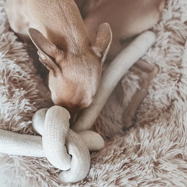 Lambwolf Collective Schnüffelspielzeug NOUNOU Gray, mit Glöckchen Interaktiv