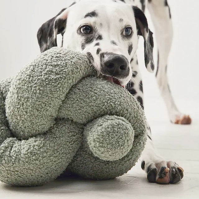 Lambwolf Collective Schnüffelspielzeug O NOU Salbei, Übergröße Interaktiv