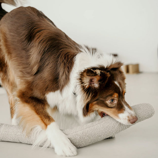 Lambwolf Collective Schnüffelspielzeug O NOU Hafer, Übergröße Interaktiv