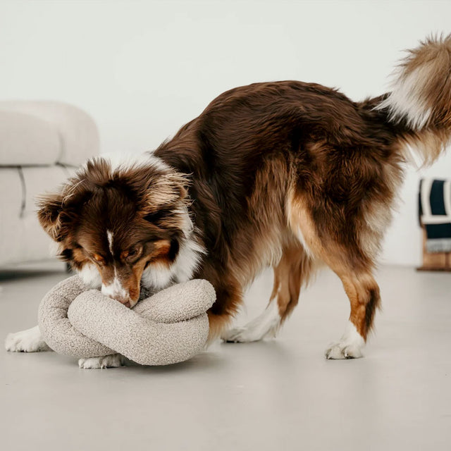 Lambwolf Collective Schnüffelspielzeug O NOU Hafer, Übergröße Interaktiv