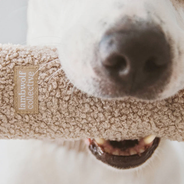 Lambwolf Collective Schnüffelspielzeug O NOU Hafer, Übergröße Interaktiv