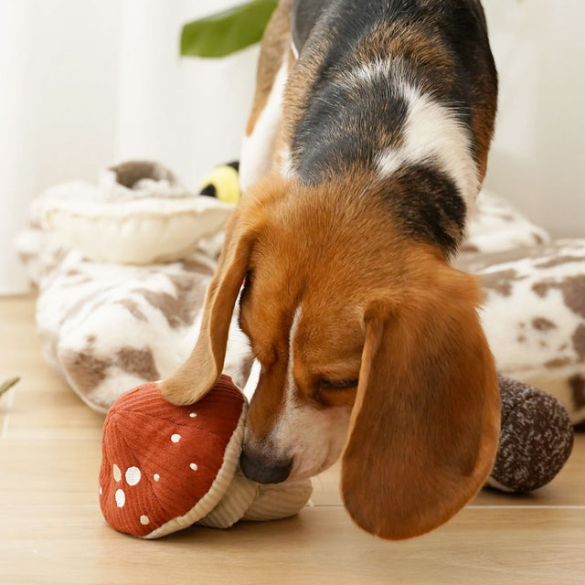 Lambwolf Collective Schnüffelspielzeug SHROOM Fliegenpilz Interaktiv