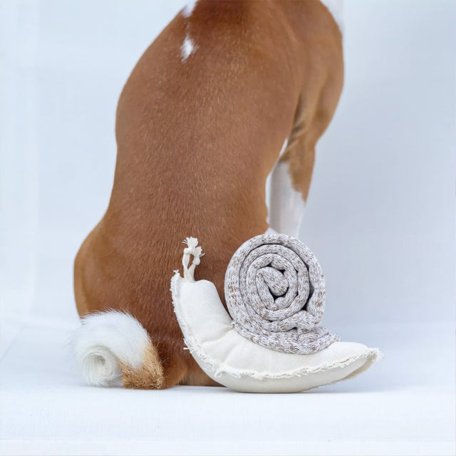 Lambwolf Collective Schnüffelspielzeug SNAIL Interaktiv