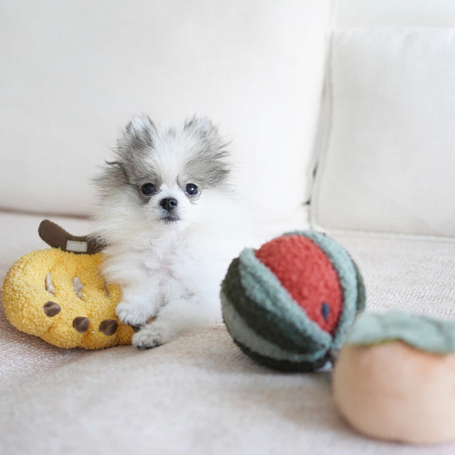 Lambwolf Collective Schnüffelspielzeug Watermelon Pop Interaktiv