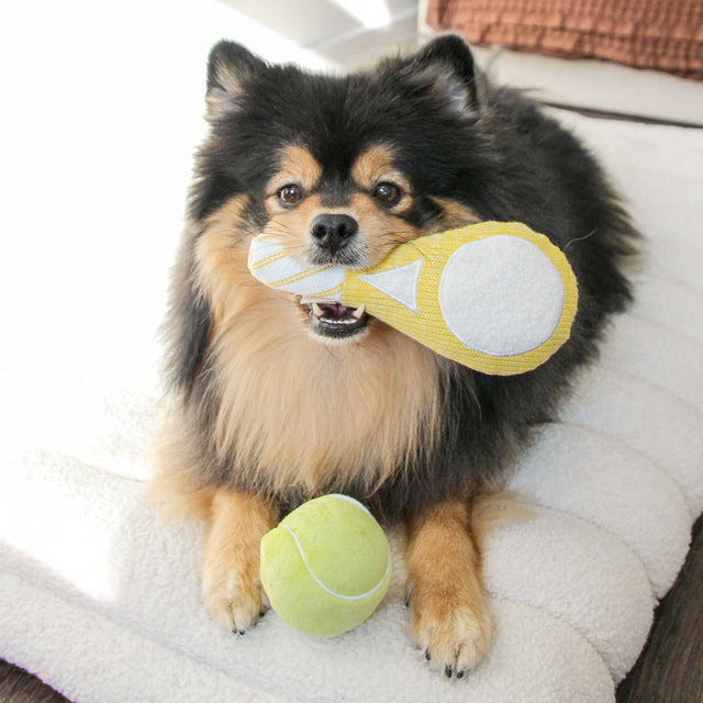 Lambwolf Collective Hundespielzeug TENNIS POP Stoffspielzeug