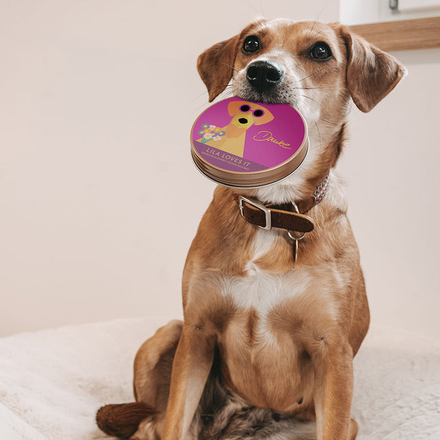 LILA LOVES IT Geschenk-Goodies aus Entenfleisch - Danke Fleischsnacks