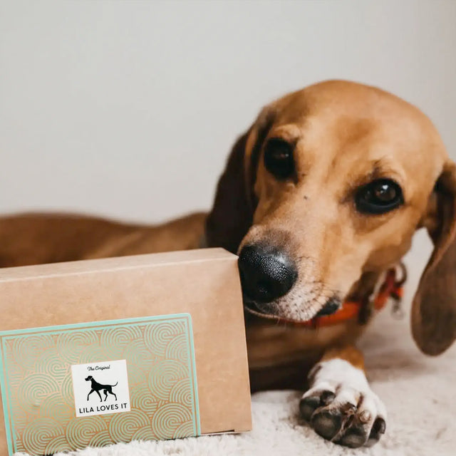 LILA LOVES IT Soft-Bites Lamm Fleischsnacks