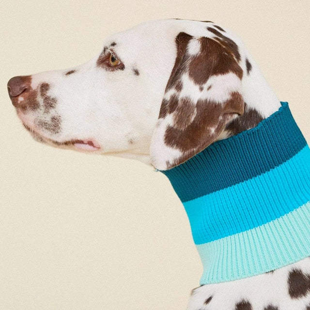 lumiies The Glow Loop, Crystal Sky Hundehalstücher