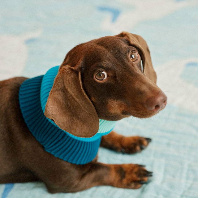 lumiies The Glow Loop, Crystal Sky Hundehalstücher