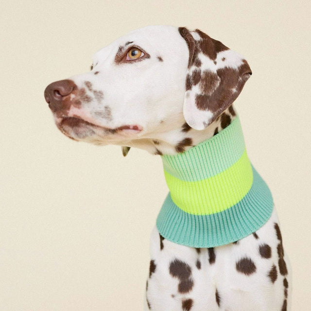 lumiies The Glow Loop, Neon Matcha Hundehalstücher