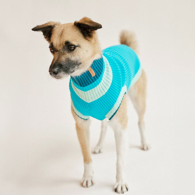 lumiies Hundepullover, The Glow Jumper - Crystal Sky Hundepullover