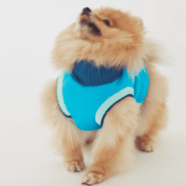 lumiies Hundepullover, The Glow Jumper, Crystal Sky Hundepullover