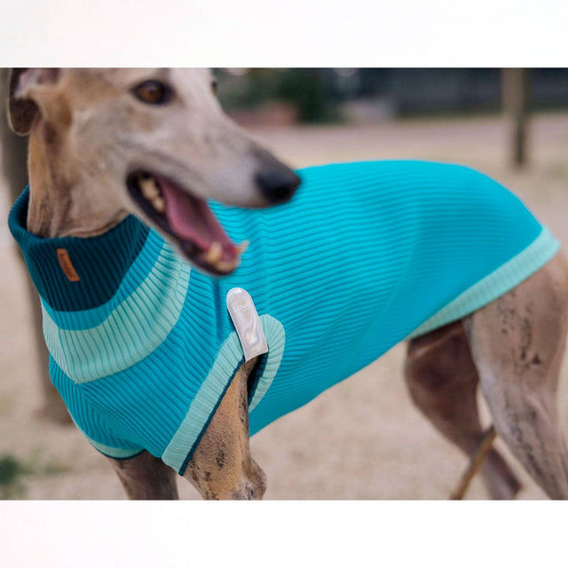 lumiies Hundepullover, The Glow Jumper, Crystal Sky Hundepullover