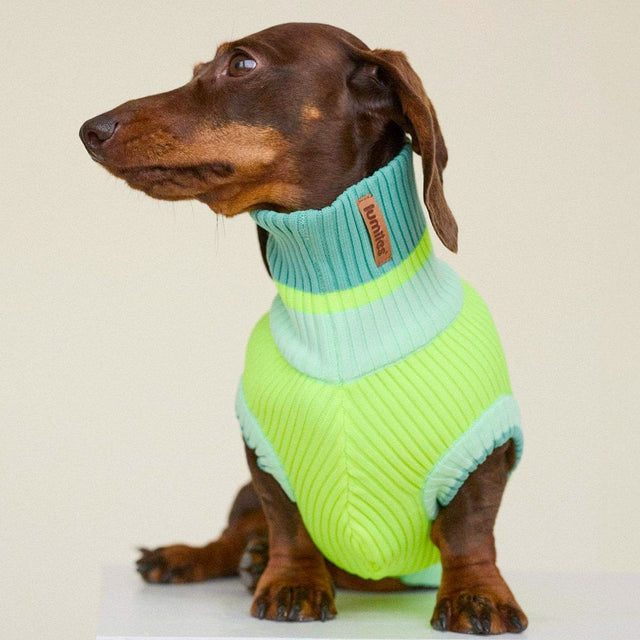 lumiies Hundepullover The Glow Jumper, Neon Matcha Hundehalstücher