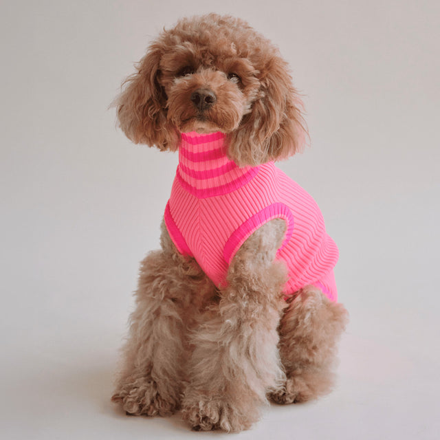 lumiies Hundepullover The Glow Jumper, Sugar Shock Hundepullover