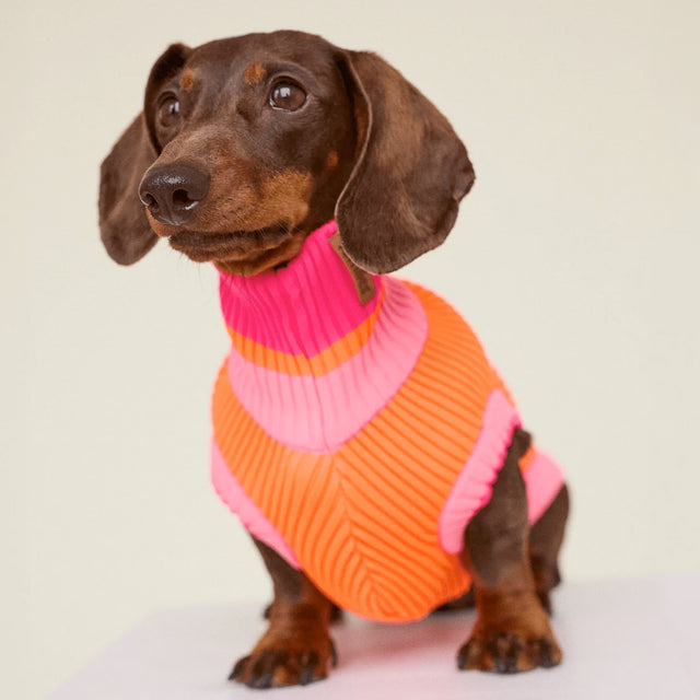 lumiies Hundepullover, The Glow Jumper, Sunny Tangerine Hundepullover