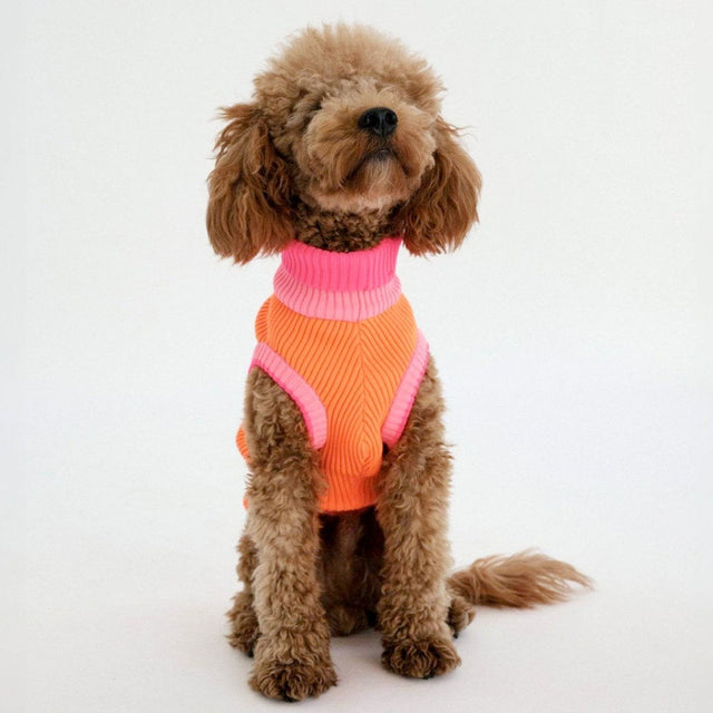 lumiies Hundepullover, The Glow Jumper, Sunny Tangerine Hundepullover
