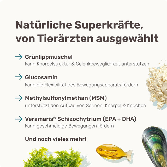 Mammaly Active Hips Gelenk-Snacks Nahrungsergänzungsmittel für Hunde