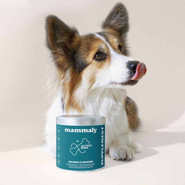 Mammaly Active Hips Gelenk-Snacks Nahrungsergänzungsmittel für Hunde