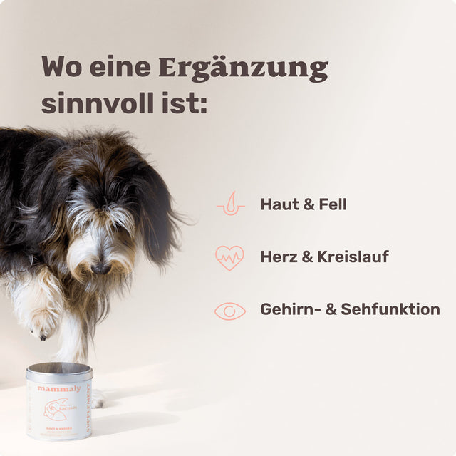 Mammaly Lachsöl Vitalstoff-Drops Funktionssnack