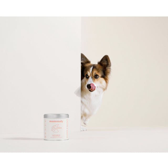 Mammaly Lachsöl Vitalstoff-Drops Funktionssnack