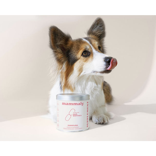 Mammaly Präbiotika Vitalstoff-Drops Nahrungsergänzungsmittel für Hunde